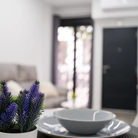 San Rafael Apartamento